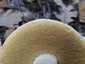 Nyári vargánya (Boletus reticulatus), Budai-hegység